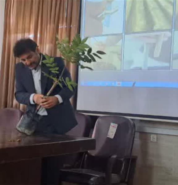 بررسی سازگاری و نحوه احداث باغات پكان در استان البرز و گیلان